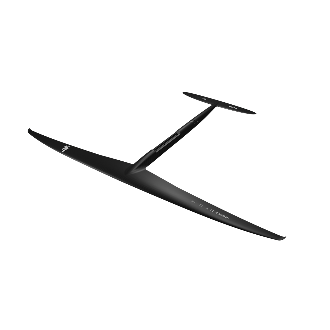 PLANE MOMENTUM 616 (XS 135 DW)